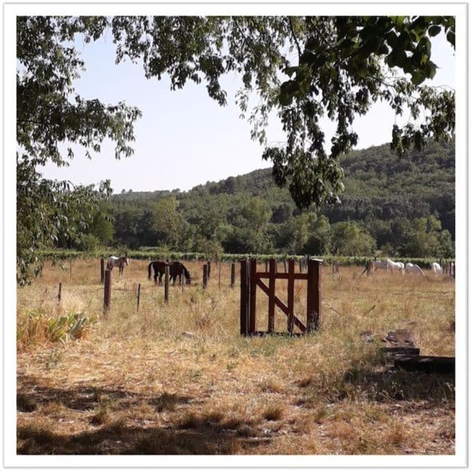 Charming Small House Close To Uzes Foissac  外观 照片